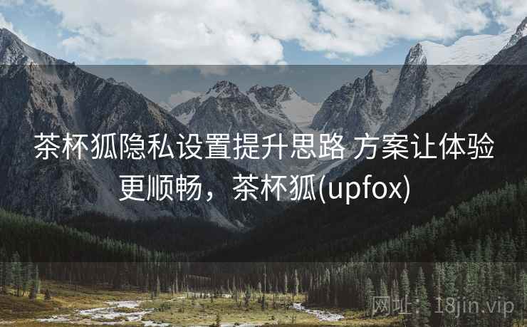 茶杯狐隐私设置提升思路 方案让体验更顺畅，茶杯狐(upfox)