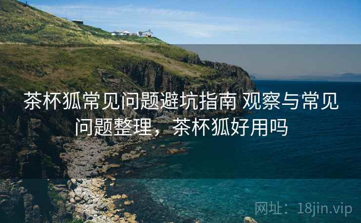 茶杯狐常见问题避坑指南 观察与常见问题整理，茶杯狐好用吗