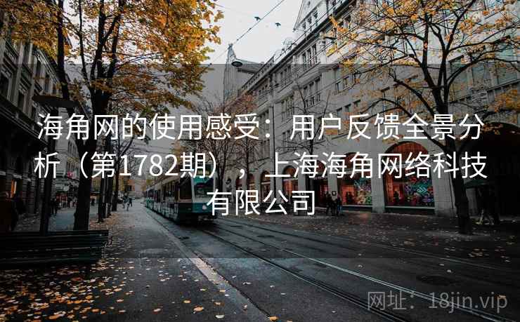 海角网的使用感受：用户反馈全景分析（第1782期），上海海角网络科技有限公司