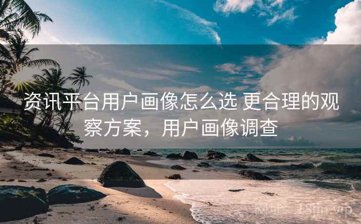 资讯平台用户画像怎么选 更合理的观察方案，用户画像调查