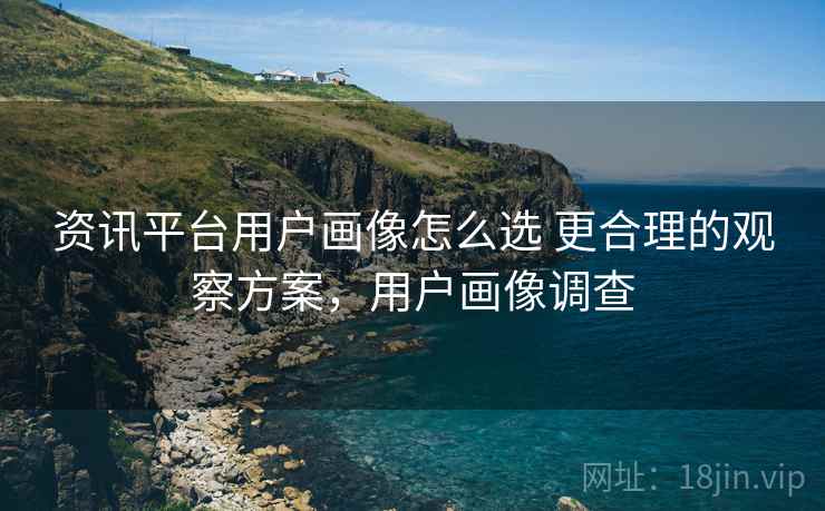 资讯平台用户画像怎么选 更合理的观察方案，用户画像调查