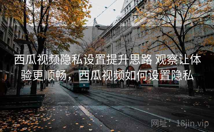 西瓜视频隐私设置提升思路 观察让体验更顺畅，西瓜视频如何设置隐私